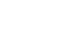 Peplink branco